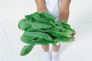 高級感が漂っているホストクラブ