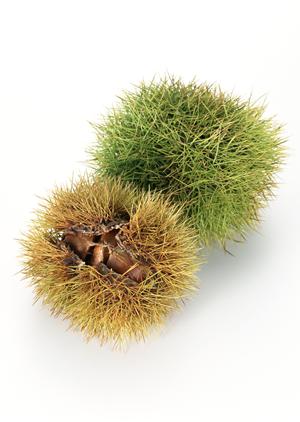 ドキドキをあなたに鹿児島のホスト